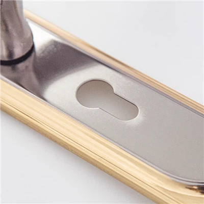 Titanium Handle Door Lock